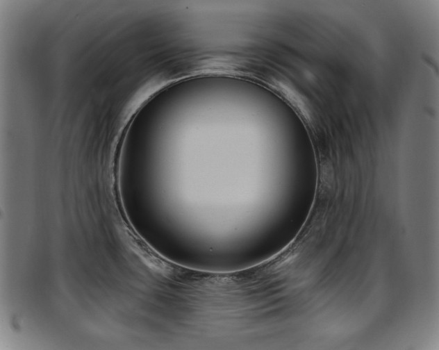 X0000097591435200802291208