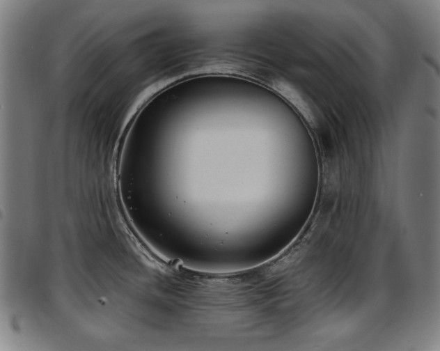 X0000097591436200802291208