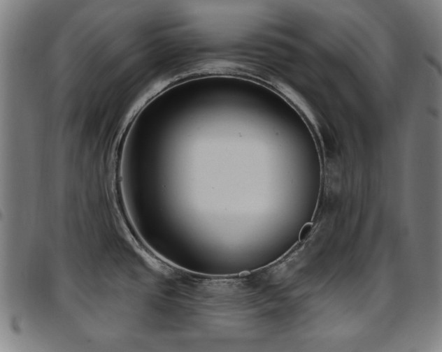 X0000097591437200802291208