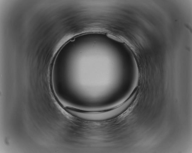 X0000097591438200802291208