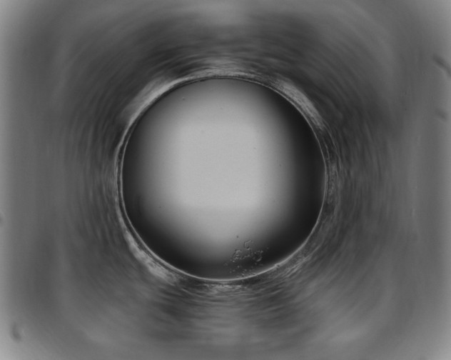 X0000097591439200802291208