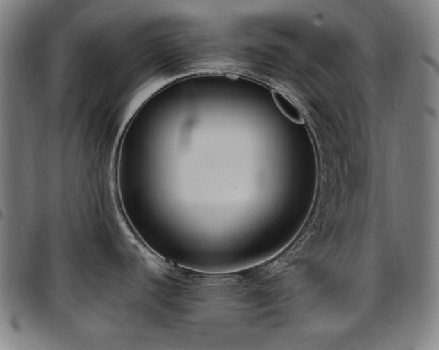 X0000097591440200802291208