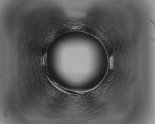 X0000097591443200802291207