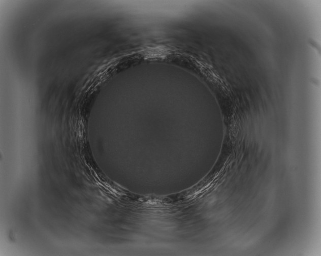 X0000097591445200802291207