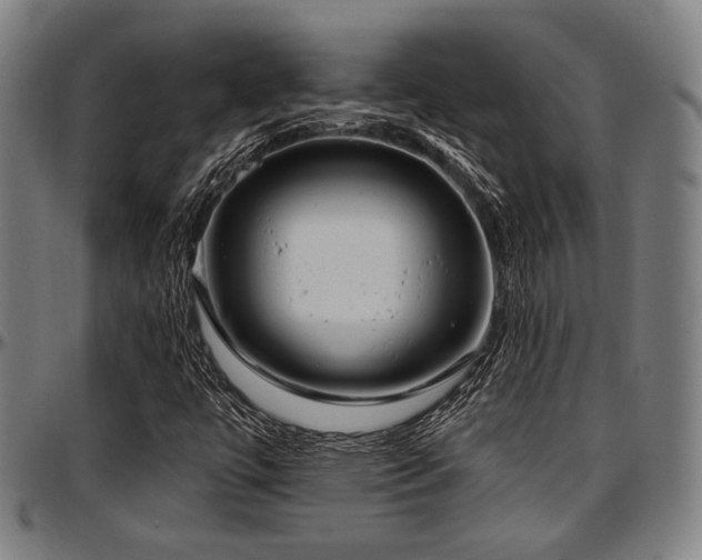 X0000097591447200802291207