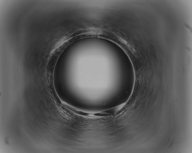 X0000097591448200802291207