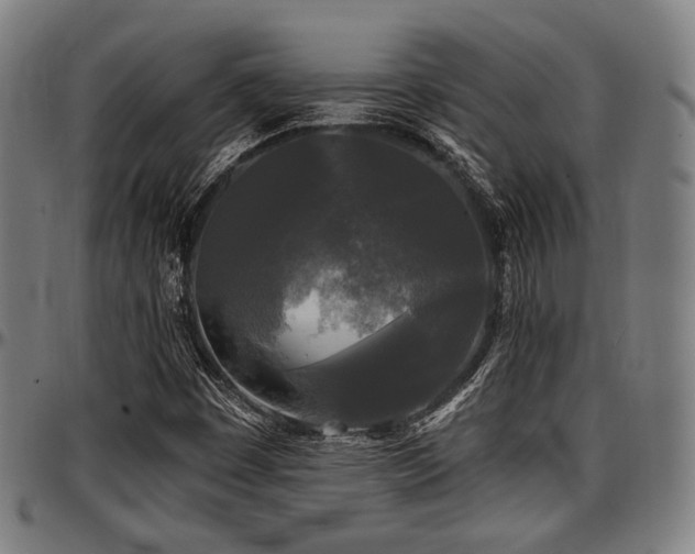 X0000097591449200802291207