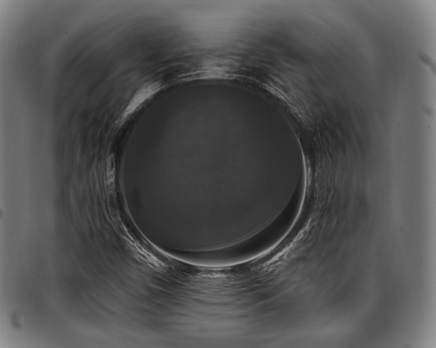 X0000097591450200802291207