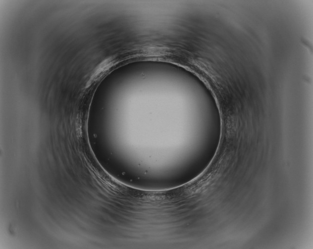 X0000097591451200802291207