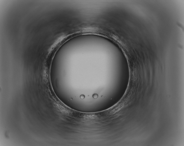X0000097591454200802291207