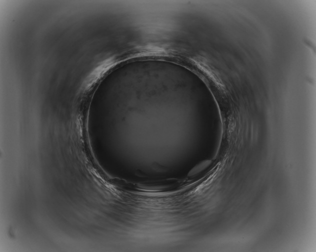 X0000097591455200802291207