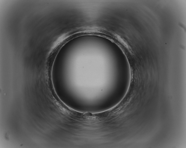 X0000097591456200802291207