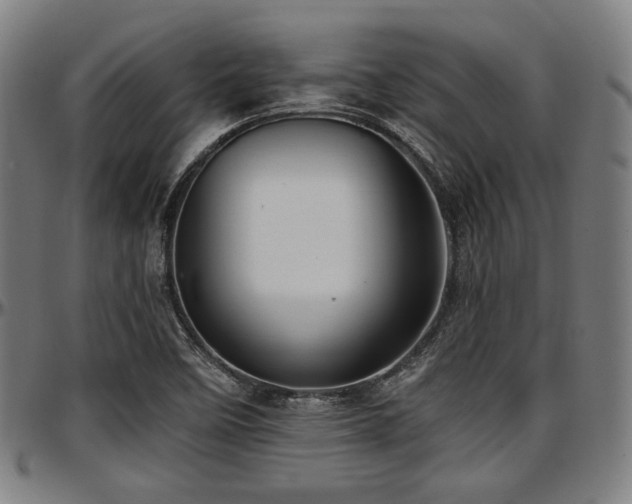 X0000097591458200802291207