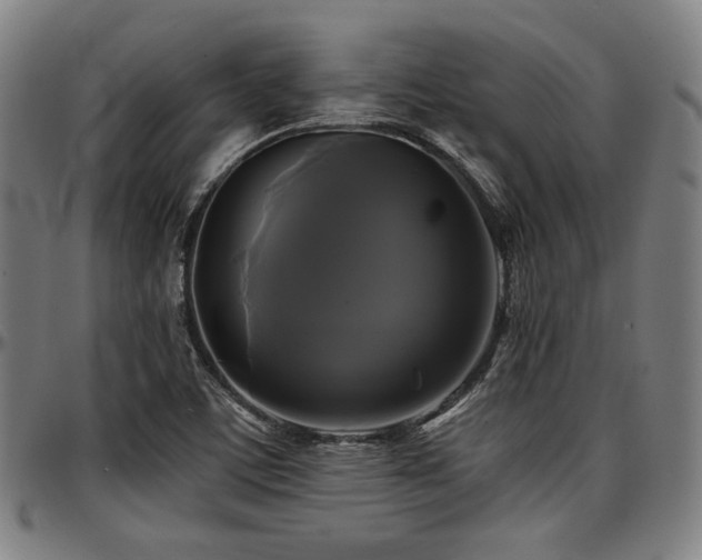 X0000097591459200802291207