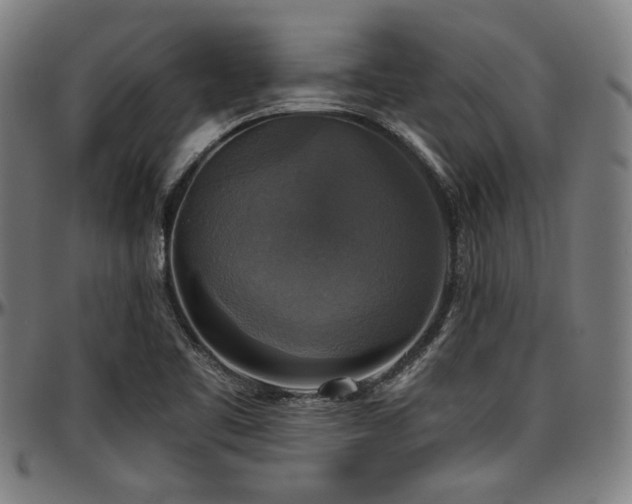 X0000097591461200802291207