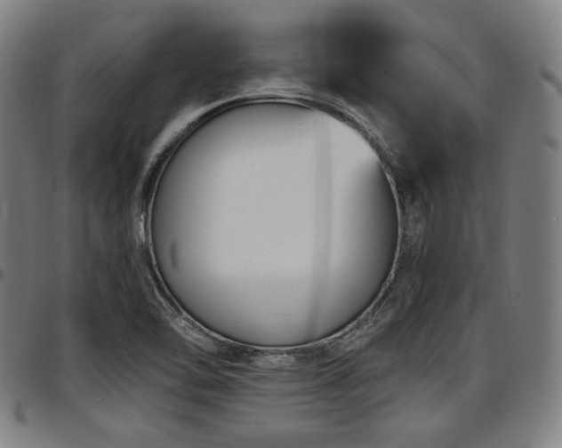 X0000097591462200802291207