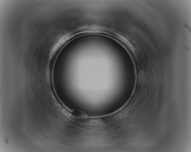 X0000097591464200802291207