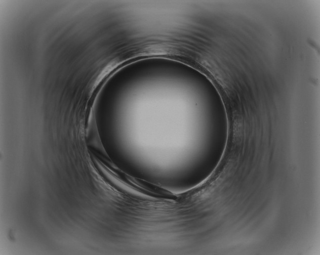 X0000097591465200802291207