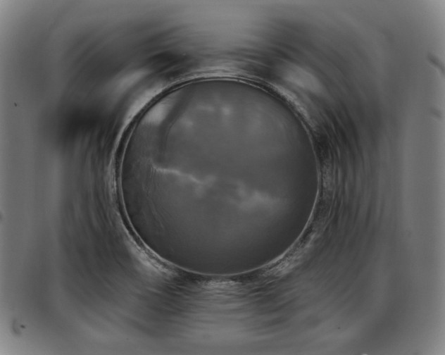 X0000097591466200802291207