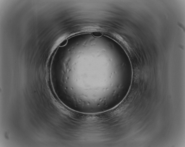X0000097591467200802291207