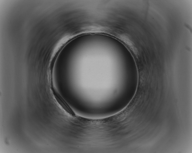 X0000097591472200802291207