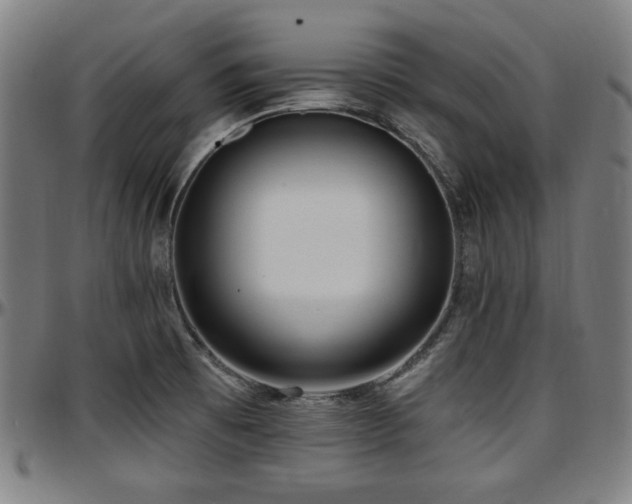 X0000097591473200802291207