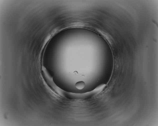 X0000097591475200802291207