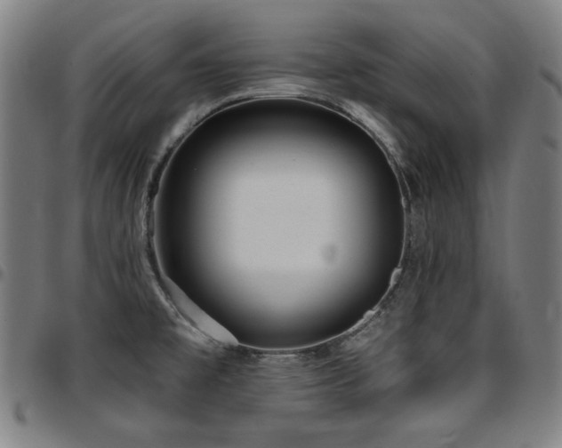 X0000097591477200802291207