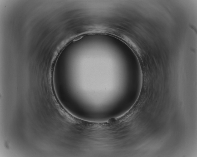 X0000097591480200802291207