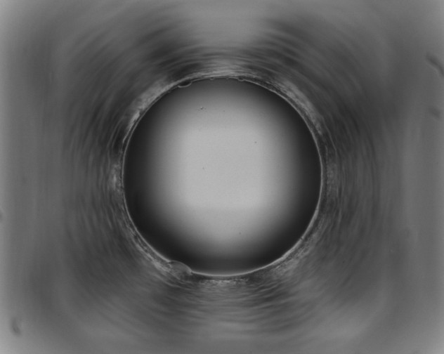 X0000097591481200802291207