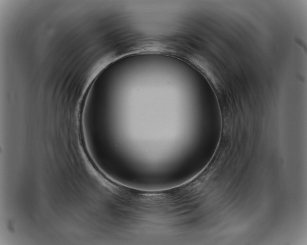 X0000097591483200802291207