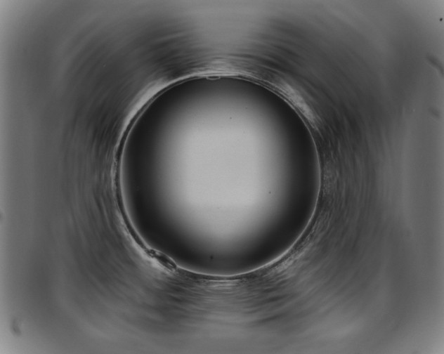 X0000097591484200802291207