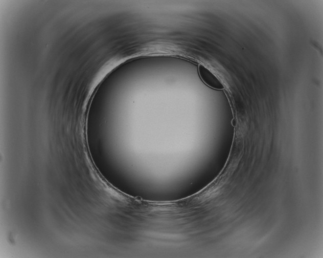 X0000097591486200802291207