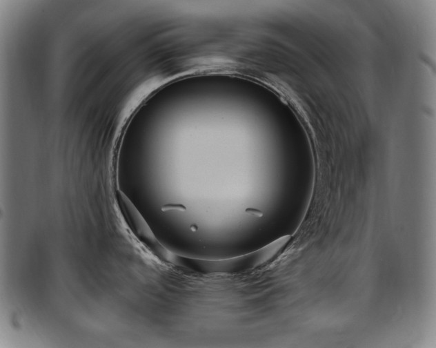 X0000097591488200802291207