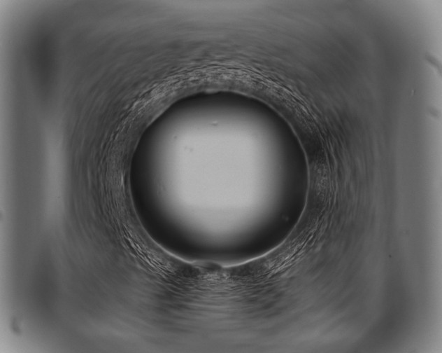X0000097591489200802291206