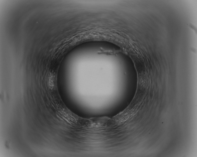 X0000097591490200802291206