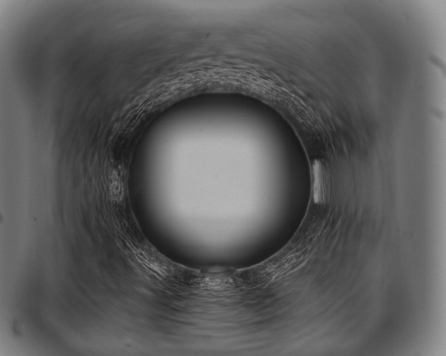 X0000097591491200802291206