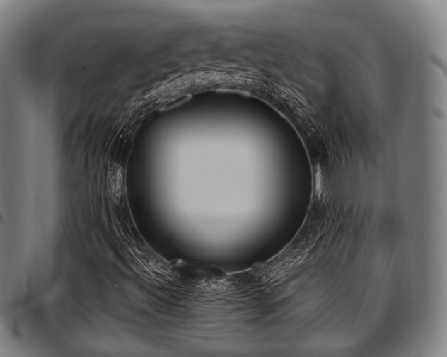 X0000097591492200802291206