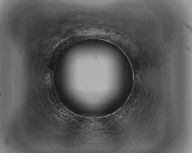X0000097591493200802291206