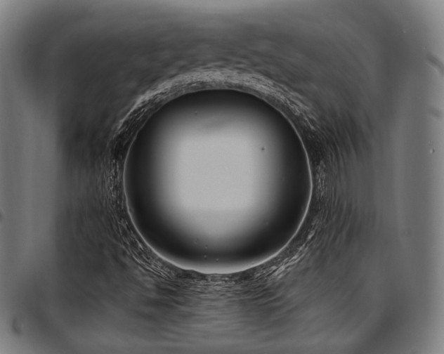 X0000097591494200802291206
