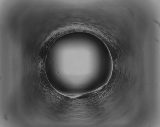 X0000097591495200802291206