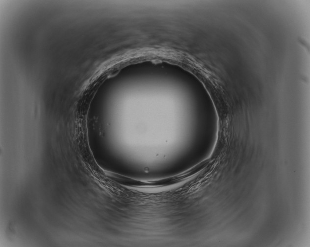 X0000097591496200802291206