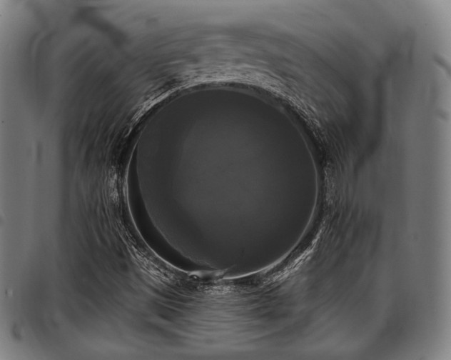 X0000097591497200802291206