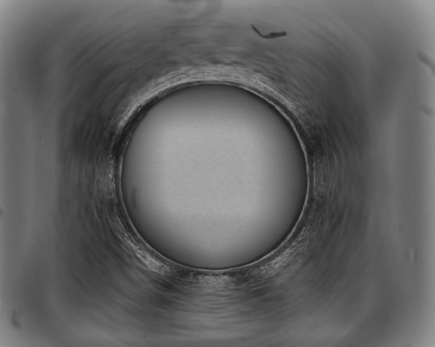 X0000097591498200802291206