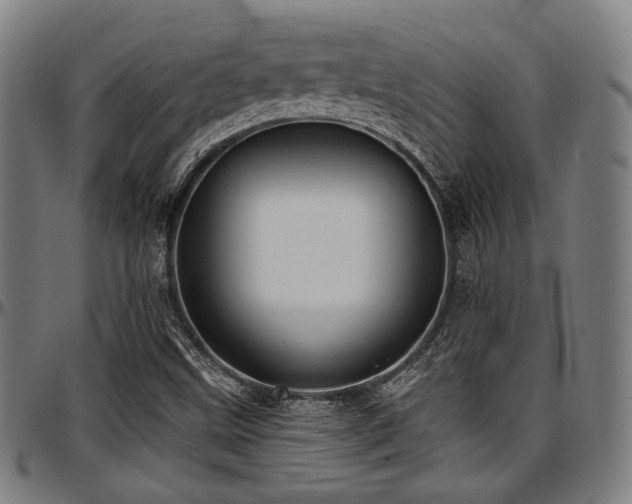 X0000097591499200802291206