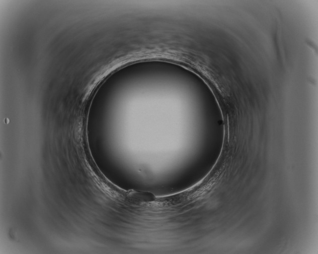X0000097591500200802291206