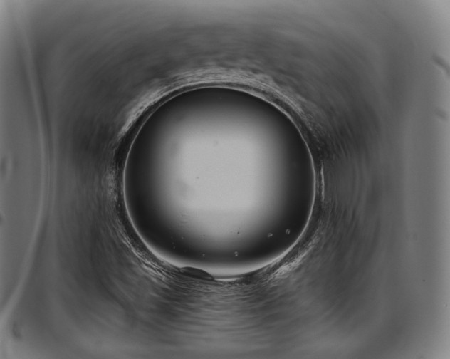 X0000097591501200802291206