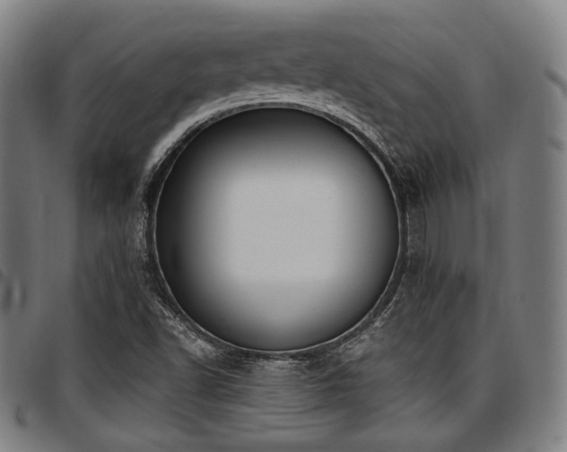 X0000097591502200802291206