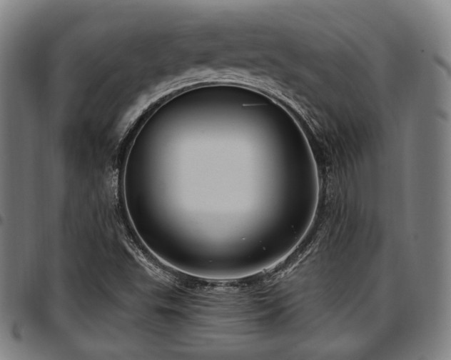 X0000097591503200802291206