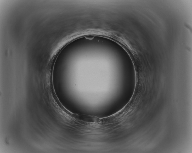X0000097591504200802291206